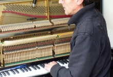 Pianostemmer ceasar Feijen